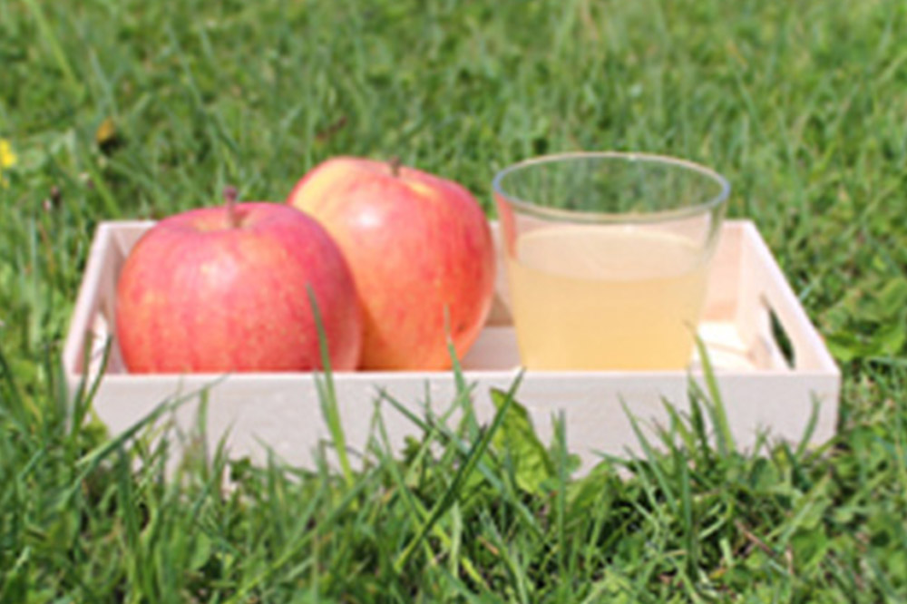 青森県産 ストレートりんごジュース 1000ml×6本 パープルウィンドウ まさひろ林檎園