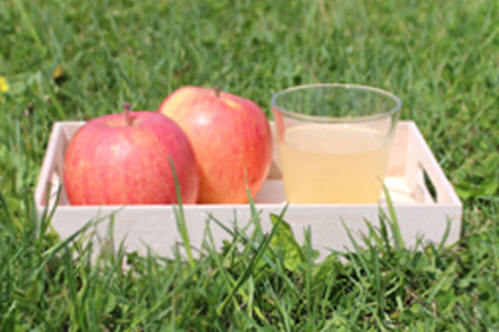 【寄附金額見直しました】青森県産 ストレートりんごジュース 1000ml×6本 パープルウィンドウ まさひろ林檎園