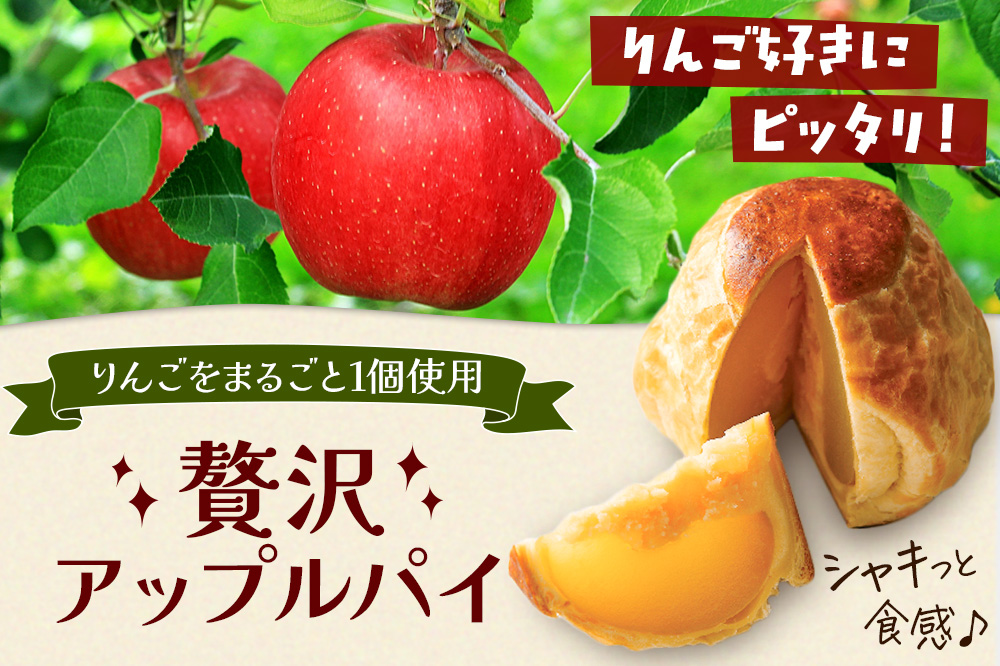 アップルパイ 気になるリンゴ 3個入 ラグノオささき