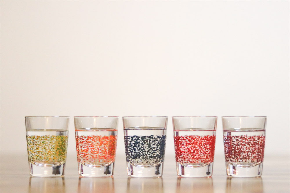 津軽塗 さわるツガルヌリ ぐい呑（5色セット）