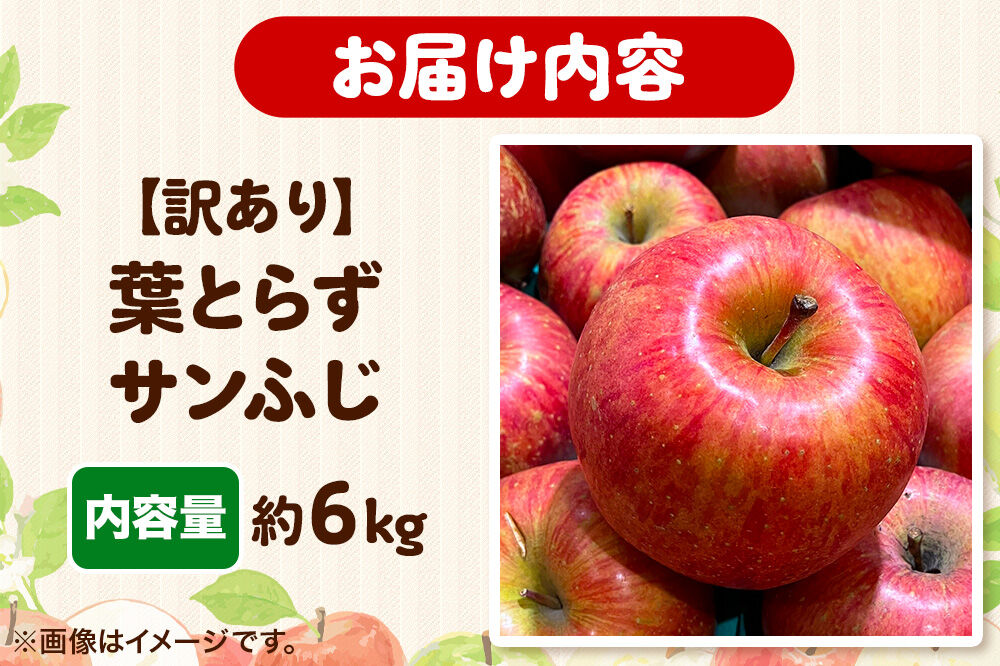 【26年11月～発送】りんご 高谷農園【訳あり】葉とらずサンふじ 約6kg [青森産 りんご サンふじ 葉とらず アップル 林檎 リンゴ 果物 果実 赤色 美味 青森県 弘前市]