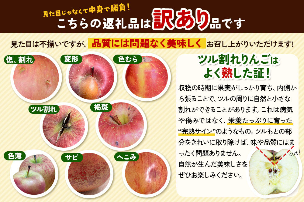 【寄附金額見直しました】【26年10月下旬～発送】りんご 千雪 約3kg カワムラファーム【訳あり】青森 果物 フルーツ 林檎 リンゴ くだもの [先行受付 アップル おいしい ちゆき 果実 果物 赤色 美味 林檎 弘前市]