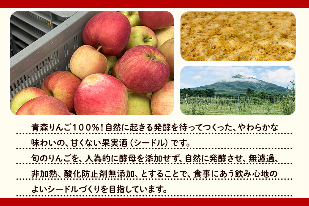 シードル zattana cidre 2本 セット（蟋蟀戸在＆山茶始開）