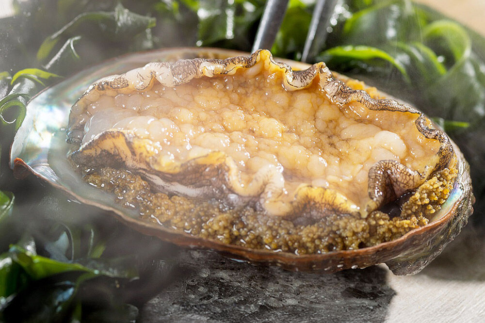 【寄附金額見直しました】【アートホテル弘前シティ】鉄板焼きディナー ペアリングプラン1名様ご招待 お食事券 ディナーコース＜レターパックライト＞