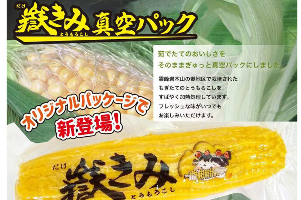 【寄附金額見直しました】とうもろこし 嶽きみ真空パック 10本セット（L～2Lサイズ）