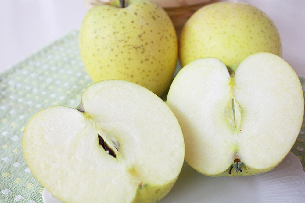 【寄附金額見直しました】りんごジュース プレミアムストレートジュース【林檎王国】1000ml×6本 紙パック ゴールド農園 かめあし商店 [りんごジュース ストレートジュース 完熟 リンゴ 林檎 紙パック ゴールド農園 かめあし商店 青森県産 弘前市]