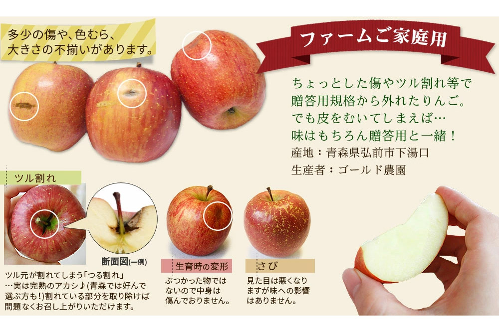 【25年12月～発送】りんご 葉とらず ふじ【家庭用】約2kg ゴールド農園