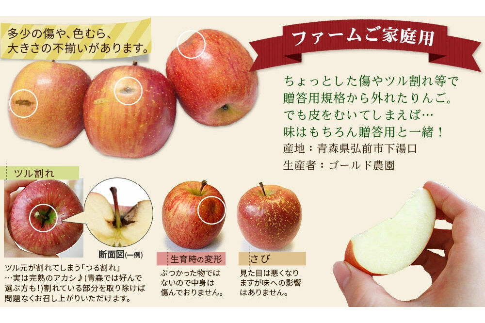 【寄附金額見直しました】【25年12月～発送】りんご 葉とらず ふじ【家庭用】約2kg ゴールド農園