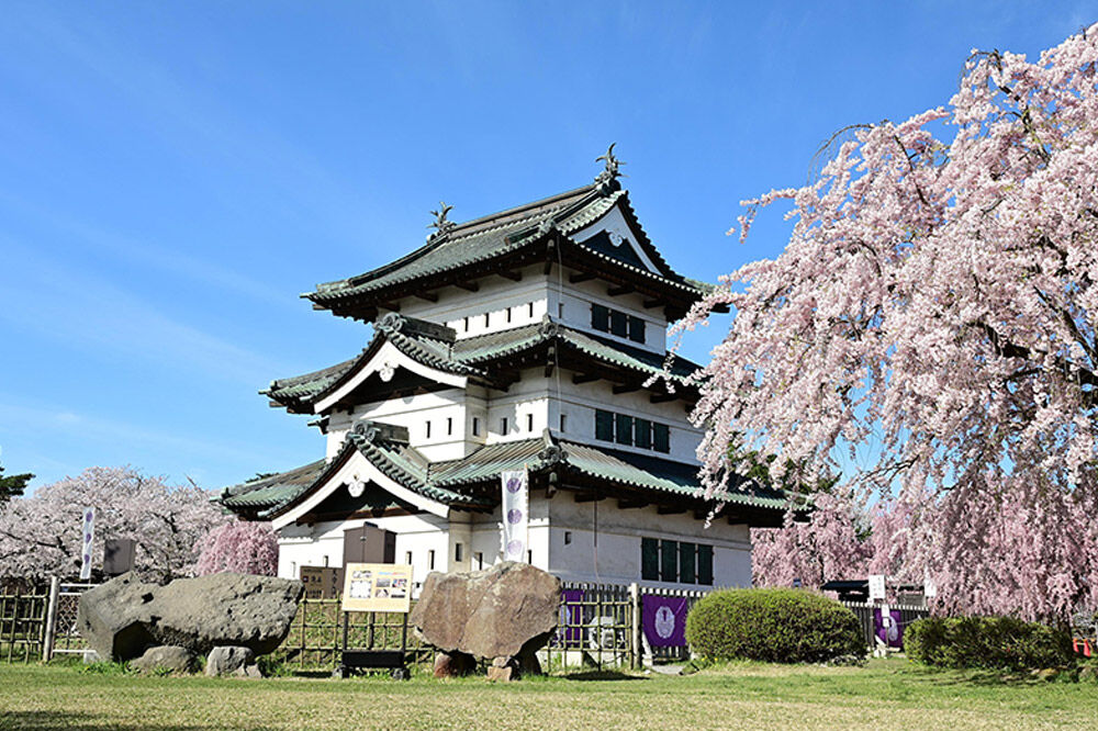 【寄附金額見直しました】【タクシーでらくらく移動】着地型弘前りんご満喫ツアー 3名様ご招待