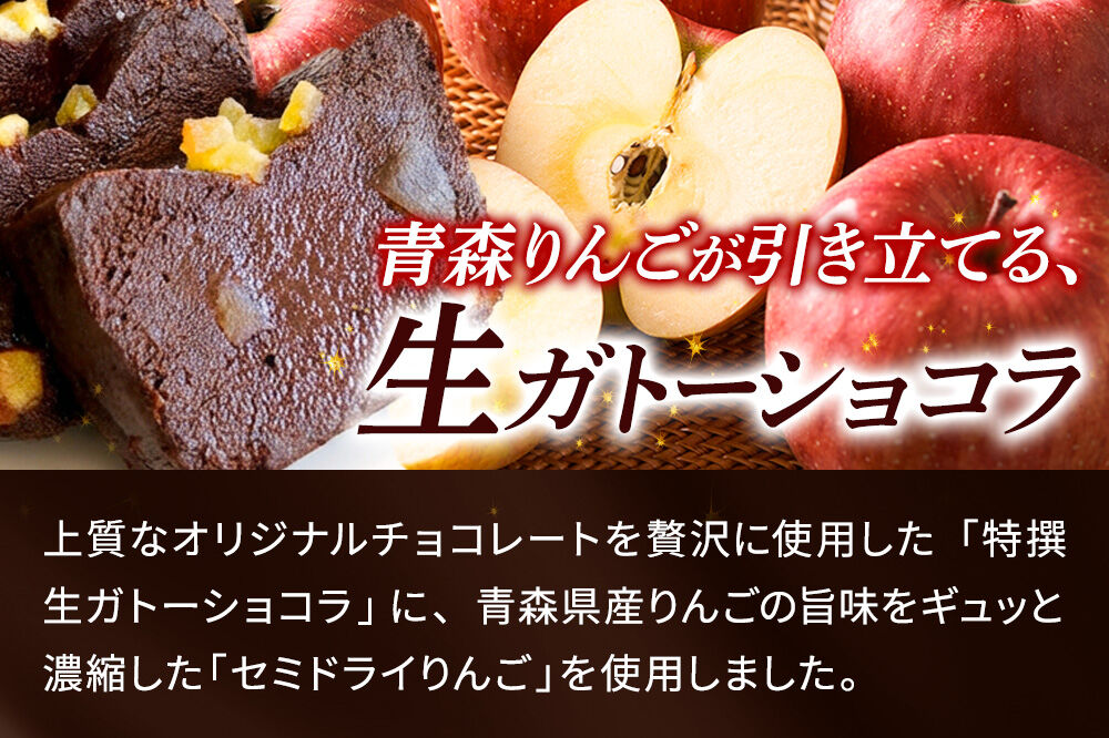青森りんごの特選生ガトーショコラ（グルテンフリー）260g×1個