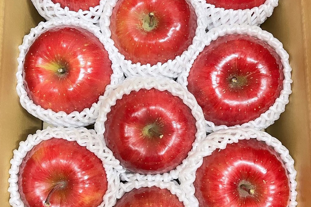 りんご 權之丞 サンふじ 家庭用 約2kg【弘前市産・青森りんご】