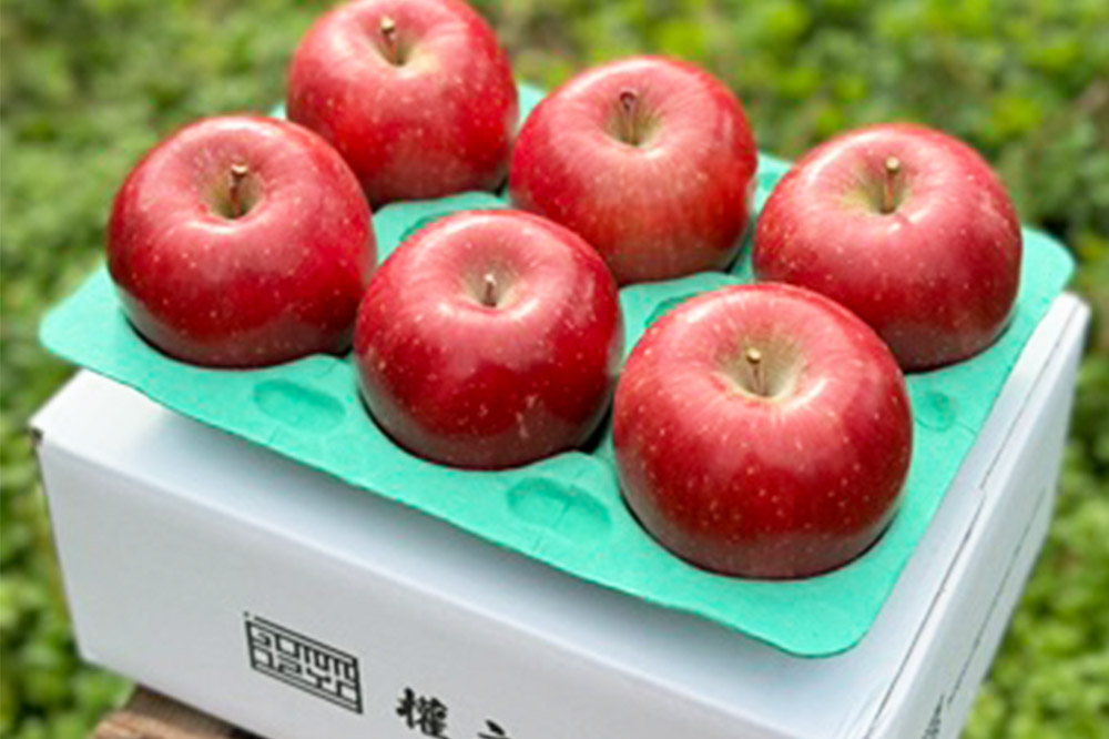 りんご 權之丞 葉とらずりんご コスモふじ 家庭用 約2kg【弘前市産・青森りんご】