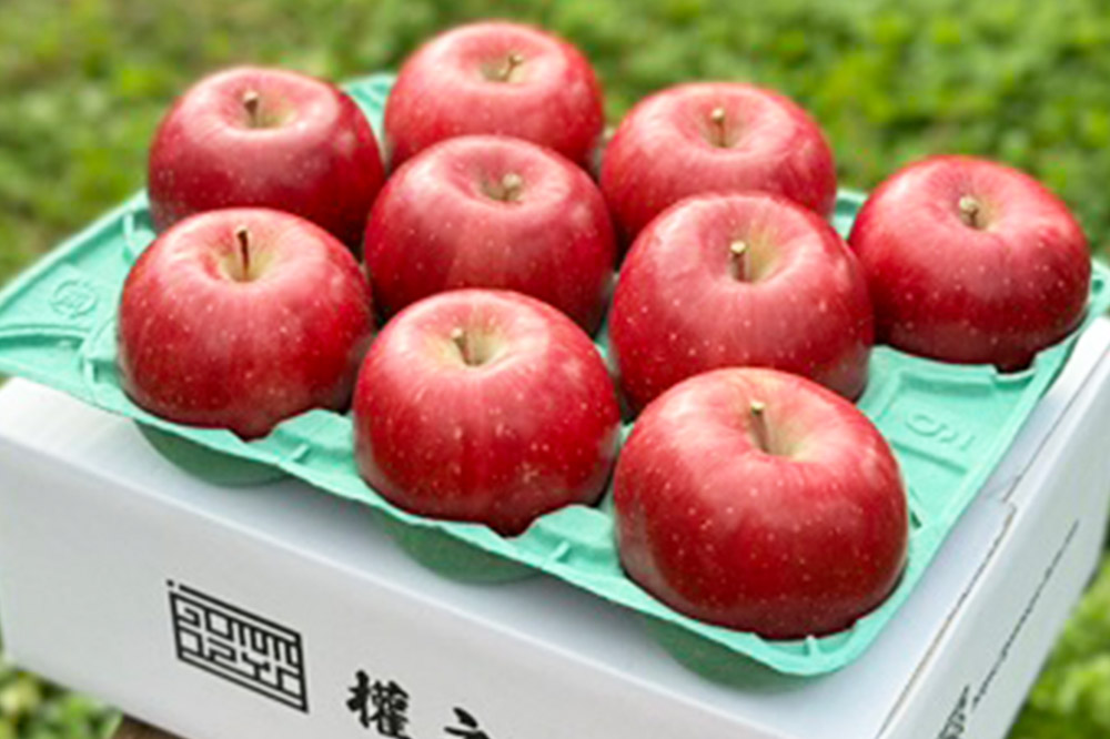 りんご 權之丞 葉とらずりんご コスモふじ 家庭用 約3kg【弘前市産・青森りんご】