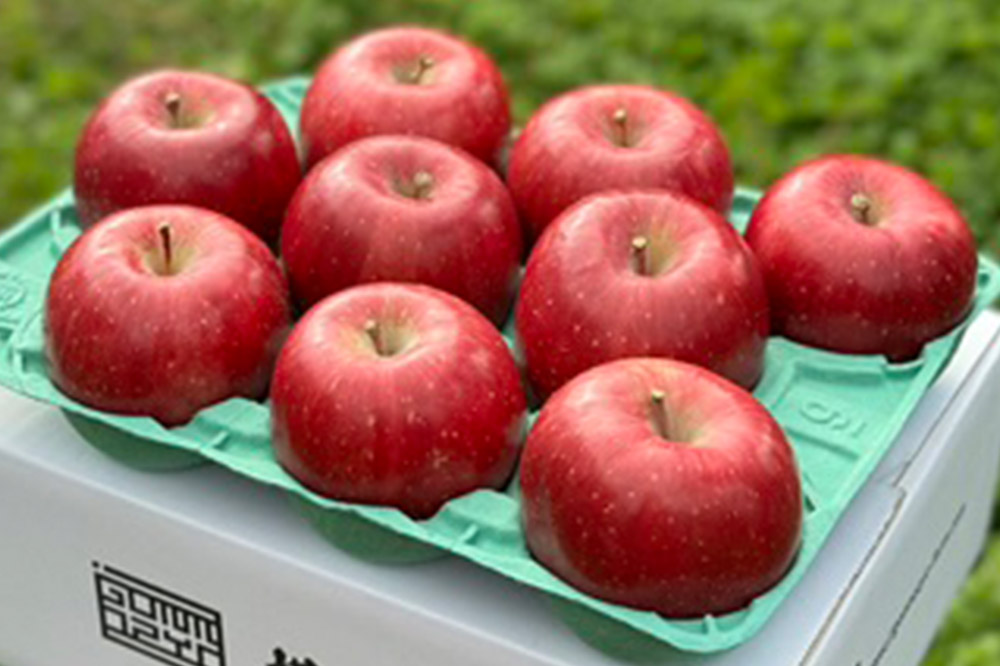 りんご 權之丞 葉とらずりんご コスモふじ 贈答用 約3kg【弘前市産・青森りんご】