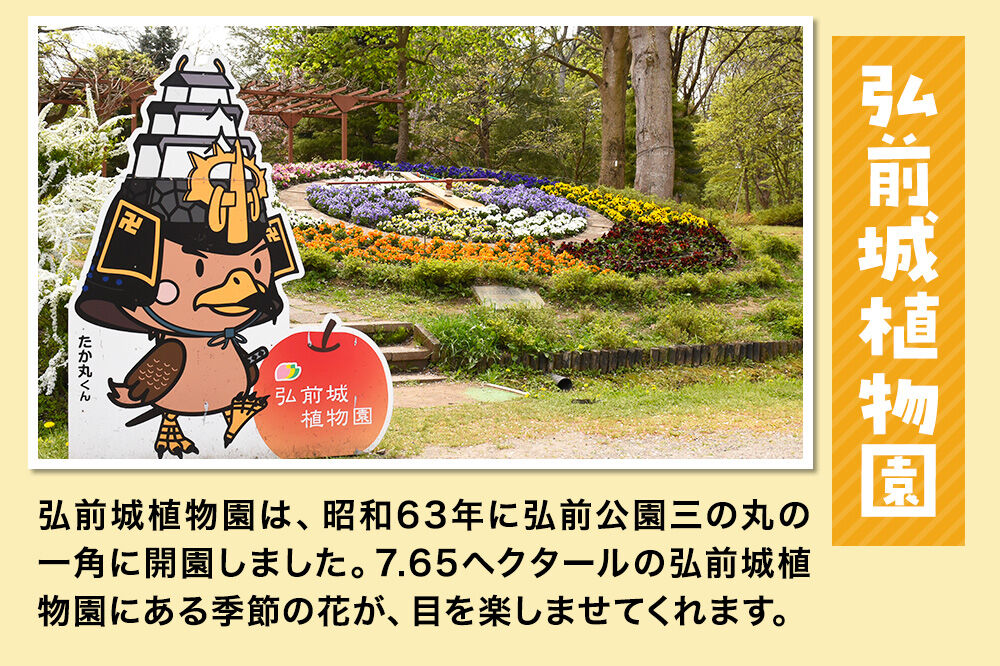 【寄附金額見直しました】3施設共通通年券と博物館招待券 弘前城（本丸・北の郭）・弘前城植物園・藤田記念庭園 【チケット 入場券 優待券】