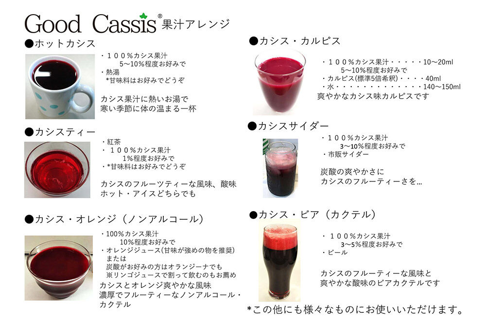 【寄附金額見直しました】【25年10月～発送】カシス果汁100％ジュース Good Cassis Gift 380g×2本