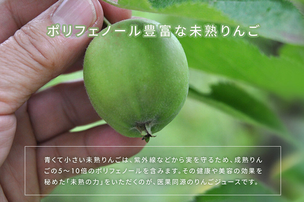 【寄附金額見直しました】医果同源未熟りんご入り りんごジュース紙パック（1000ml×3本入）