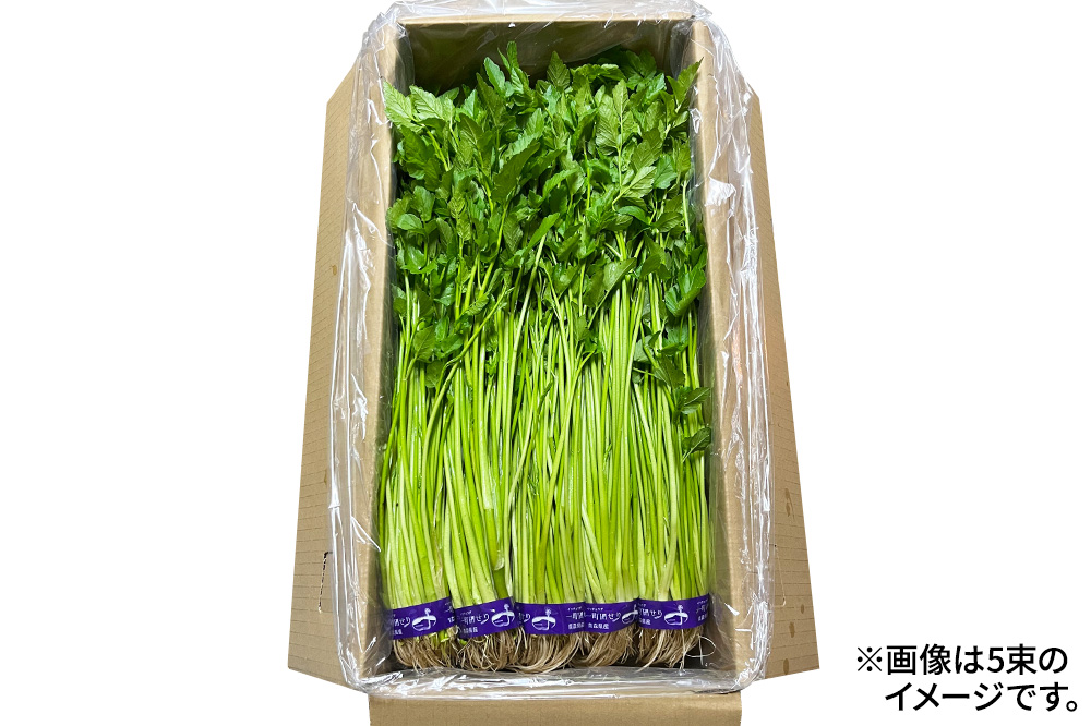 野菜 一町田せり 約520ｇ (約130g×4束)