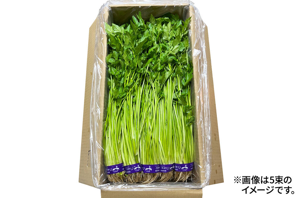 【寄附金額見直しました】野菜 一町田せり 約520g（約130g×4束）せり 七草