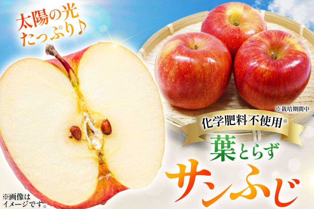 【寄附金額見直しました】りんご 葉とらず サンふじ 約3kg カワムラファーム 家庭用 青森 果物 フルーツ 林檎 リンゴ くだもの