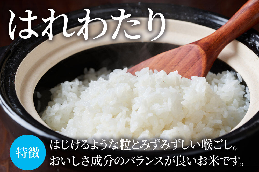 【寄附金額見直しました】米【特別栽培米】はれわたり 白米 5kg 青森県弘前市産