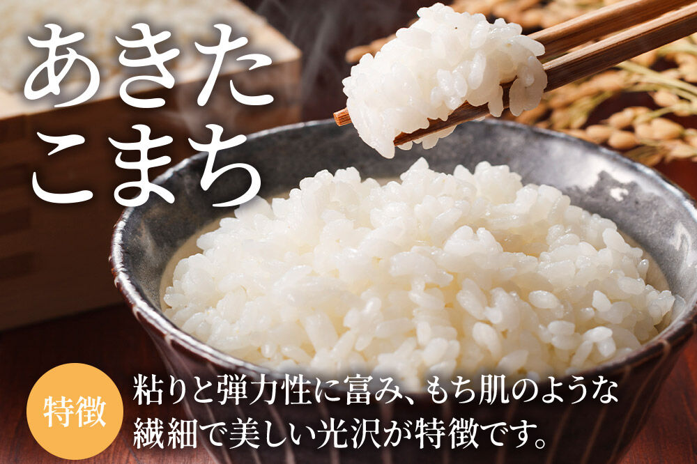 【寄附金額見直しました】米【特別栽培米】あきたこまち 白米 5kg 青森県弘前市産