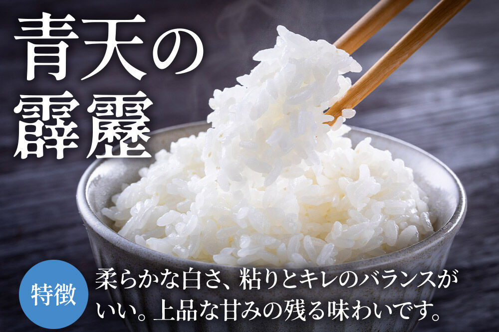 【寄附金額見直しました】米 青天の霹靂 白米 5kg 青森県弘前市産