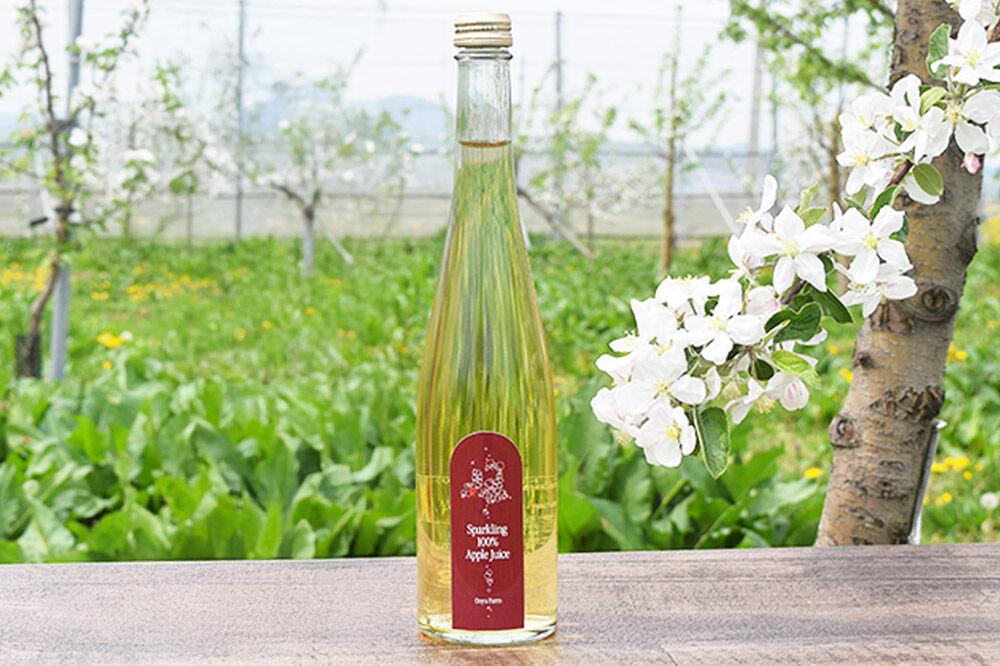 【寄附金額見直しました】りんご贅沢しぼり 500ml×2本 スパークリング 500ml×1本 計3本セット りんご果汁100％ りんごジュース リンゴ 果汁 林檎 飲料 アップル 果物 フルーツ 青森 飲み物 ドリンク