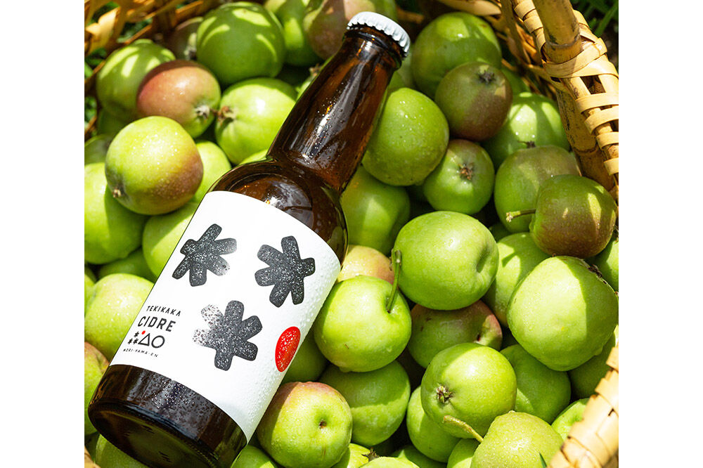 【寄附金額見直しました】未来を育てるりんごのお酒 テキカカシードル （シードル、ライチ）各330ml×3本 計6本 お酒 青森 弘前 林檎 リンゴ