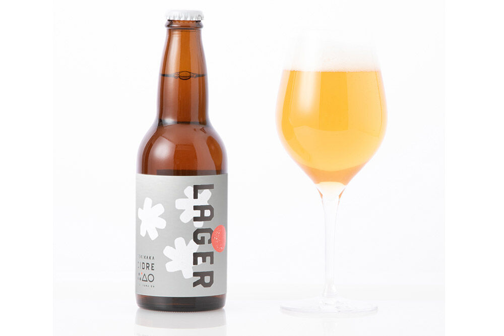 【寄附金額見直しました】摘果りんごのシードルとノンアルセット テキカカシードル（ラガー） ＆ アップルソーダ 各330ml×3本 計6本 お酒 青森 弘前 林檎 リンゴ