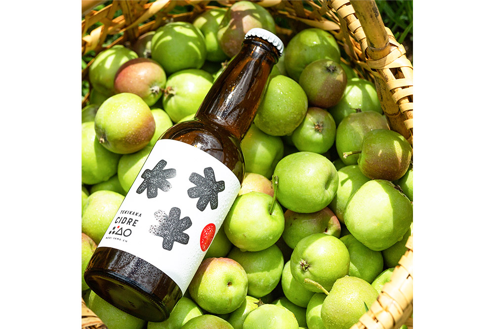 未来を育てるりんごのお酒 テキカカシードル 330ml×24本 お酒 青森 弘前 林檎 リンゴ