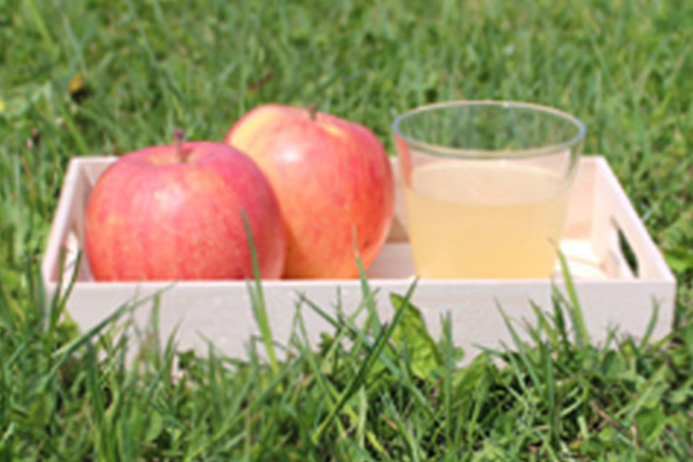 青森県産 ストレートりんごジュース 180ml×10本 パープルウィンドウ まさひろ林檎園