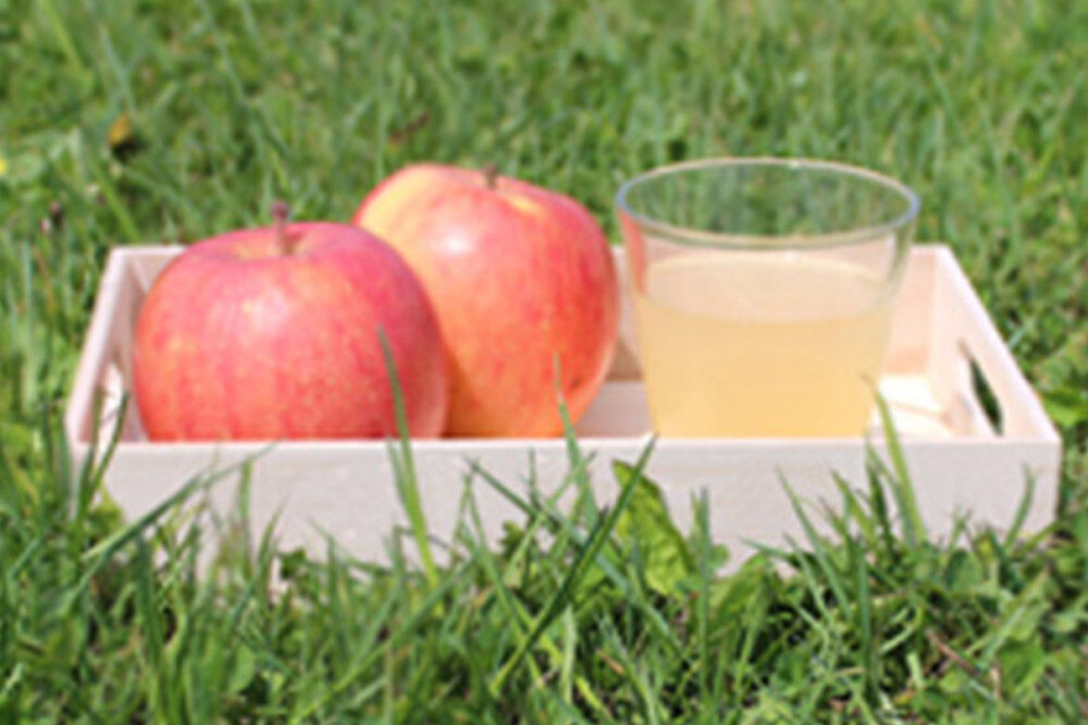 【寄附金額見直しました】青森県産 ストレートりんごジュース 180ml×10本 パープルウィンドウ まさひろ林檎園