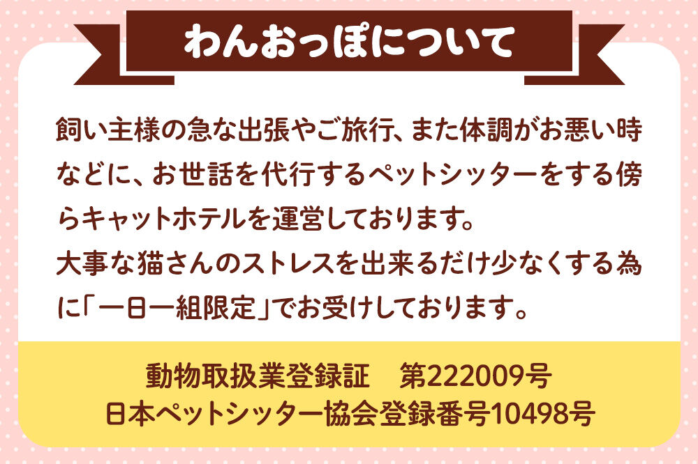 【寄附金額見直しました】ペット ホテル【一日一組限定】キャットホテル 宿泊券 1泊 【レターパックライト】 [ペット キャット 猫 愛猫 ホテル 宿泊 一日一組 限定 事前予約 ペットホテル ペットシッター 青森 弘前 わんおっぽ]