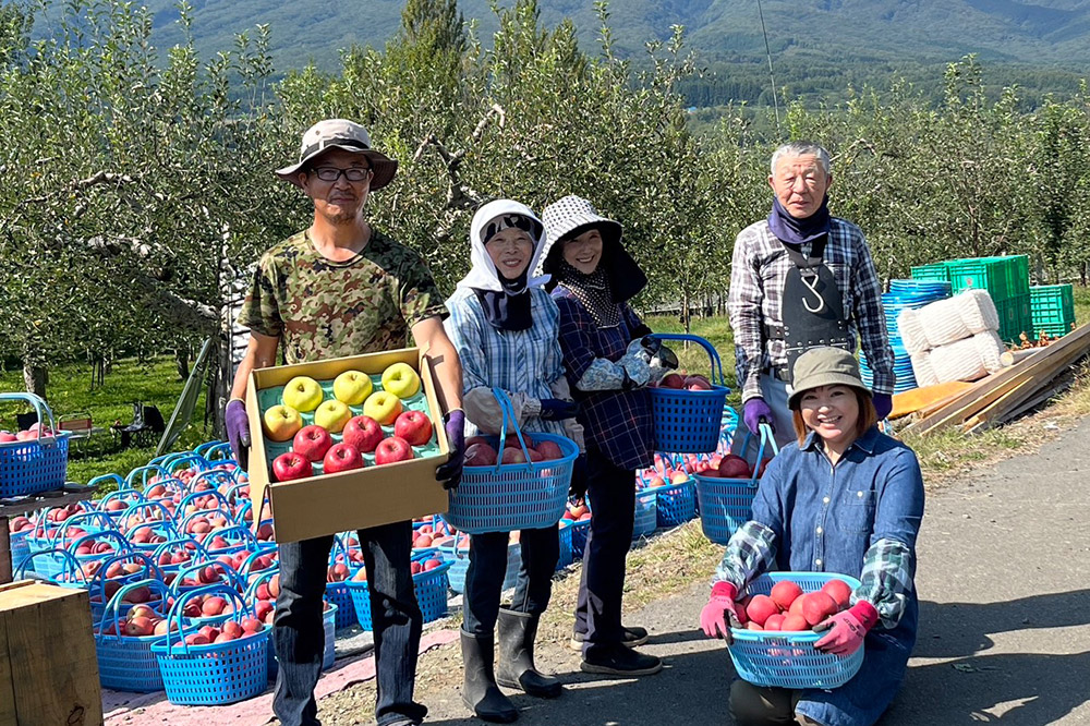 【26年1月～発送】りんご 家庭用 旬のリンゴ詰め合わせ 約10kg 糖度13度以上