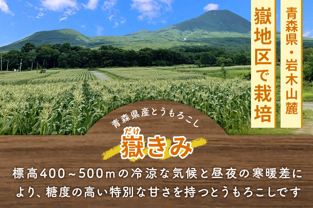 嶽きみ真空パック SSサイズ 10本 しらかみラボ
