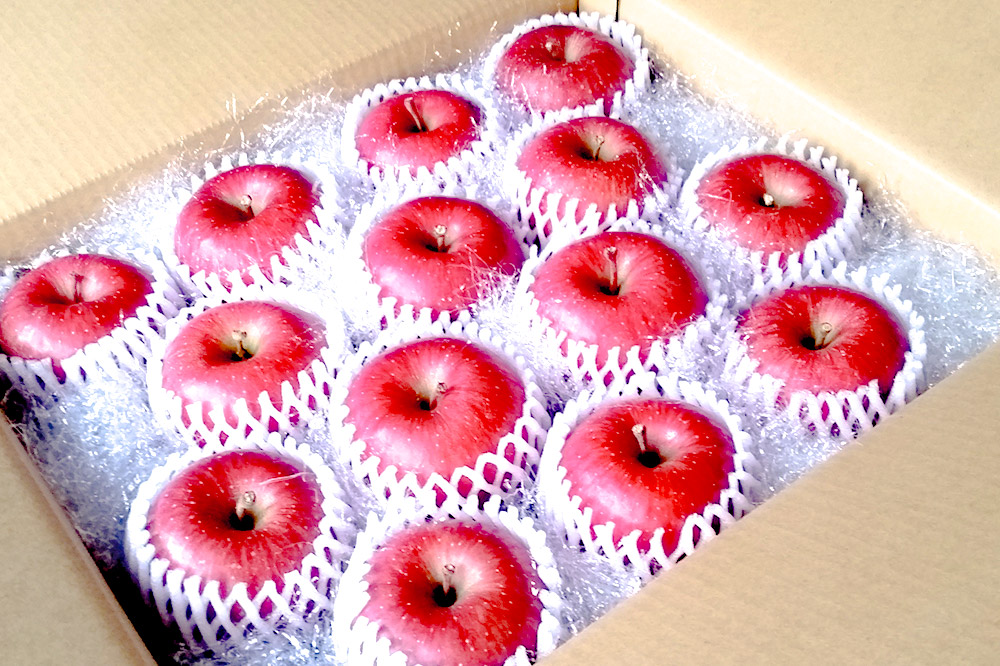 【25年12月～発送】りんご サンふじ 贈答用 約5kg しらかみラボ