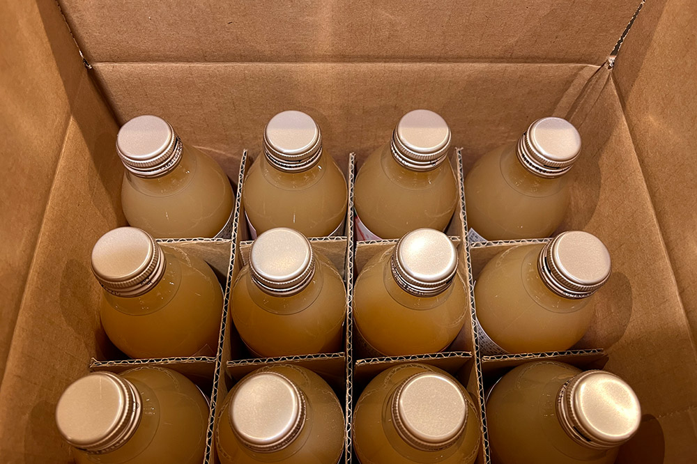 《定期便3ヶ月》ストレートりんごジュース【AOMORI APPLE】250ml×12本 としぞう。