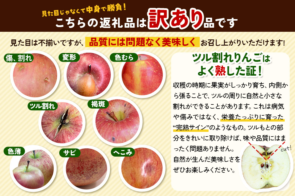 【26年1月～発送】りんご 【 数量限定 】訳あり 雪完熟 家庭用 糖度13度以上 葉取らず サンふじ 11個入り