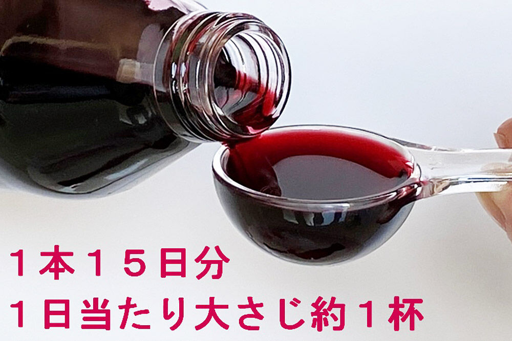 【寄附金額見直しました】カシス果汁100％ジュース（無加糖・無添加）250ml×2本【果汁飲料】