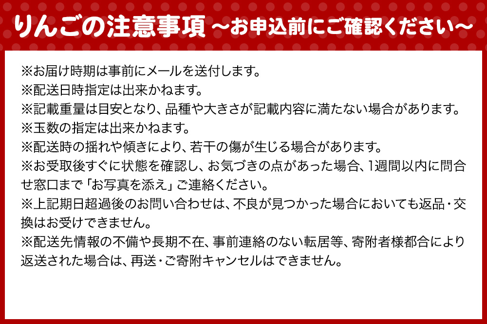 りんご 13度糖度保証【訳あり】家庭用 葉とらずふじ 約5kg