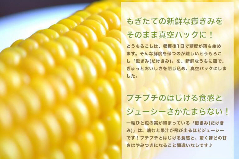 【寄附金額見直しました】とうもろこし 嶽きみ真空パック 10本セット（L～2Lサイズ）