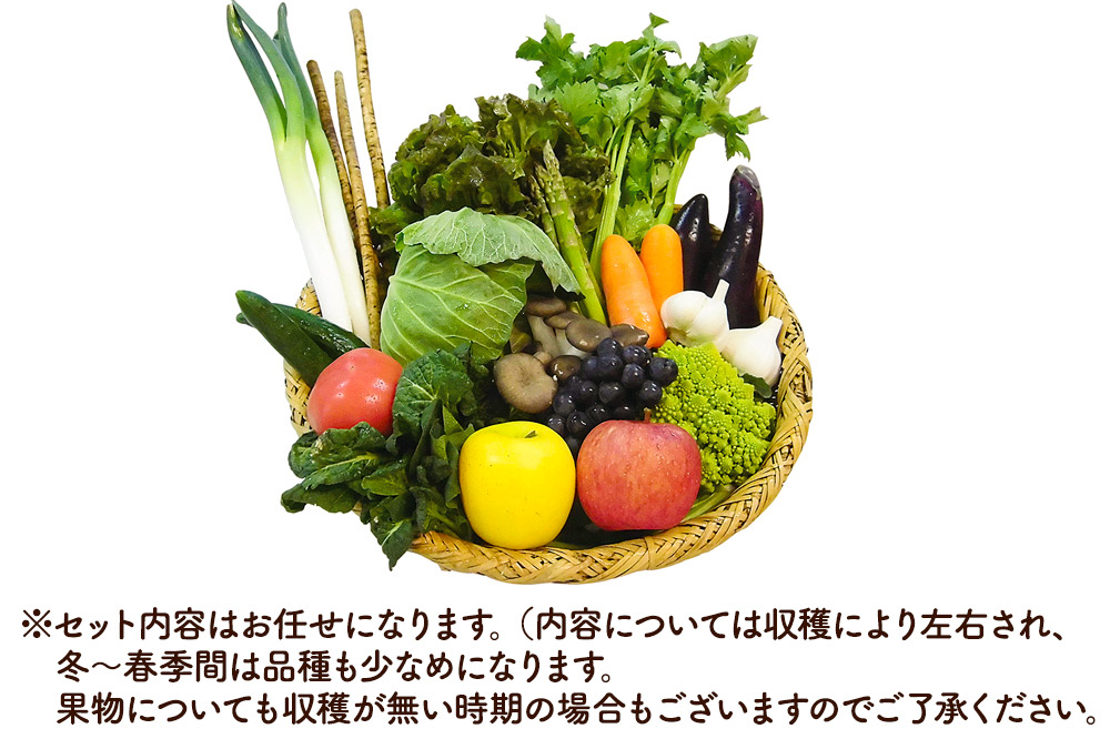 野市里からの贈り物（旬の野菜、加工品約10～14種類程度）