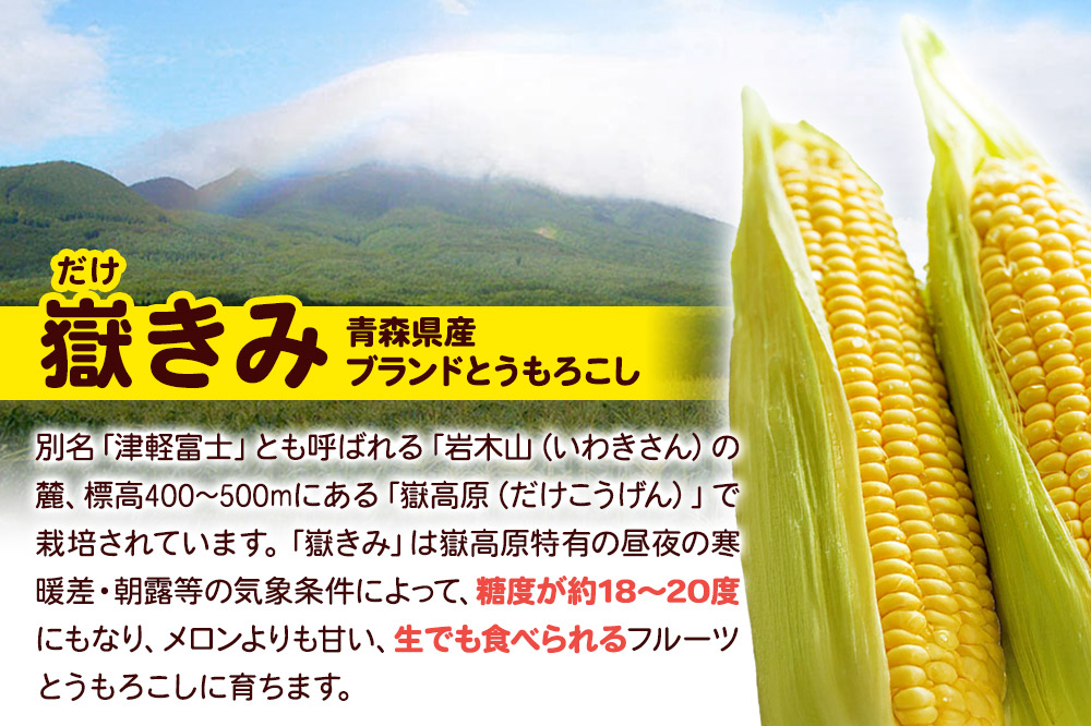 嶽きみ焼酎セット（嶽きみ焼酎34度(乙種焼酎）500ml ×1本・嶽きみ焼酎25度500ml(乙種焼酎）×1本）【 お酒 】