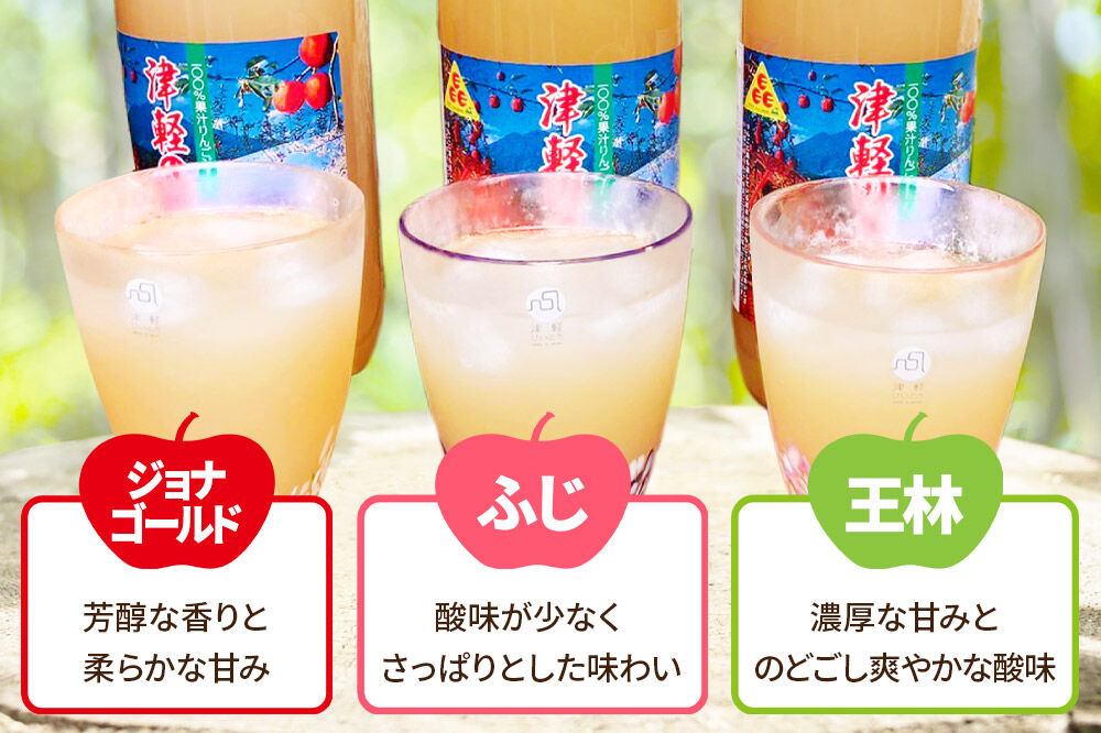 《2ヶ月ごとに6回お届け》3種のりんごジュース 1L×6本 計6L 無添加 ストレート果汁100％！ 青森県特別栽培農産物認証農園