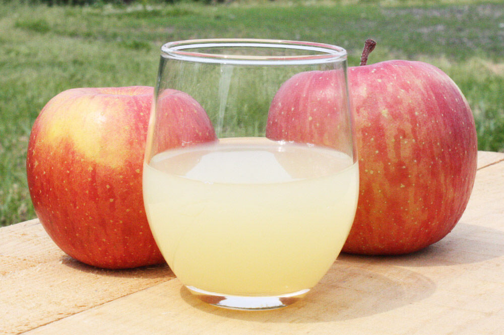 【寄附金額見直しました】りんごジュース ストレート果汁【林檎園】1000ml×15本 紙パック ゴールド農園 かめあし商店