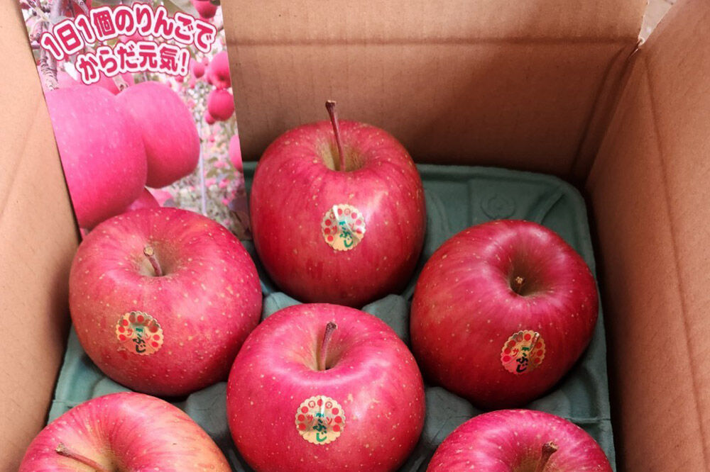 【寄附金額見直しました】【27年2月発送】りんご 葉とらずサンふじ【贈答用】約3kg [りんご サンふじ 葉とらず ふじ 3kg お歳暮 お中元 ギフト 贈り物 贈答用 アップル おいしい 果実 果物 赤色 美味 葉っぱ 林檎 青森県 弘前市]