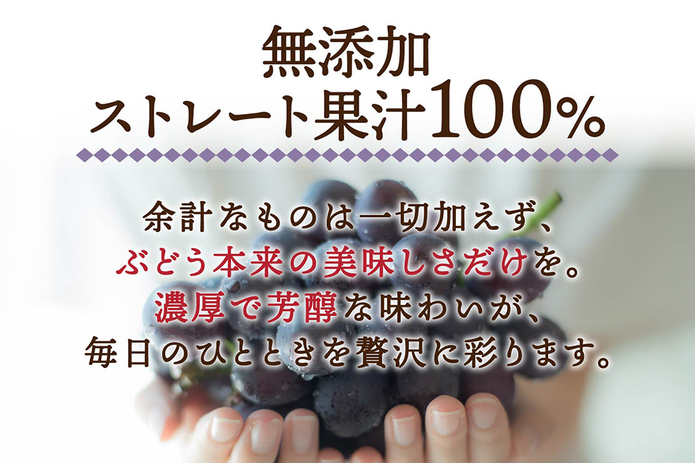ぶどうジュース 紙パック 1L×4本入り 化粧箱入り 無添加 ストレート果汁100％ スチューベンジュース 青森県産 弘前市