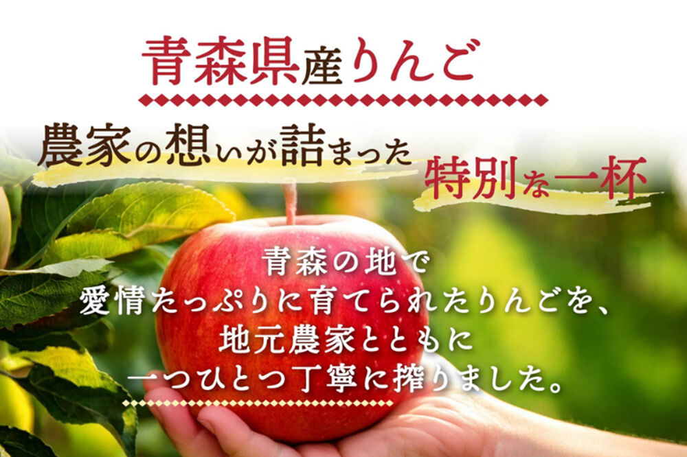 【寄附金額見直しました】りんごジュース 1L×12本 ストレート果汁100％ 青森県産 弘前市