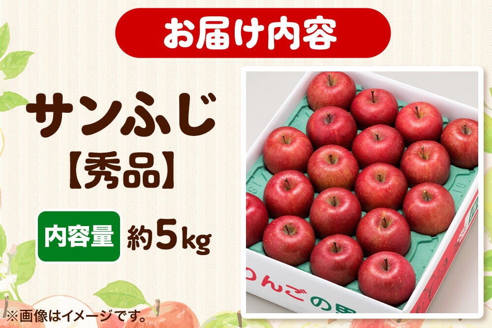 【寄附金額見直しました】りんご 【糖度13度以上】サンふじ 約5kg 【秀品】 青森県 フルーツ 果物